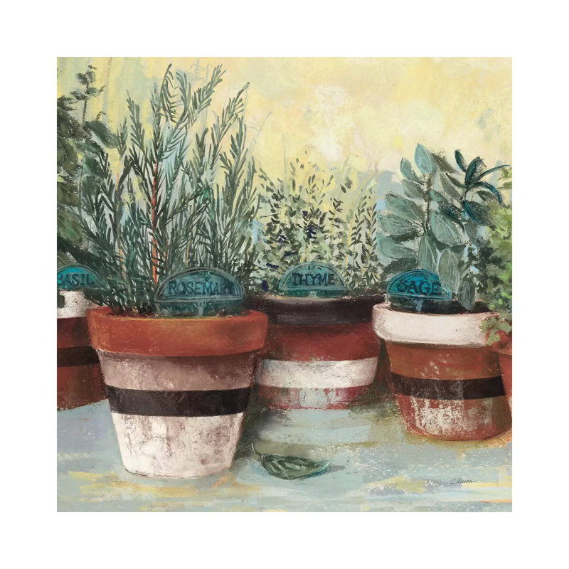 Potted Herbs II Stripes Crop by Carol Rowan - Wrapped Canvas Painting, 30.48 cm H x 30.48 cm W