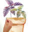Plants & Flowers Non-Wall Damaging Wall Decal