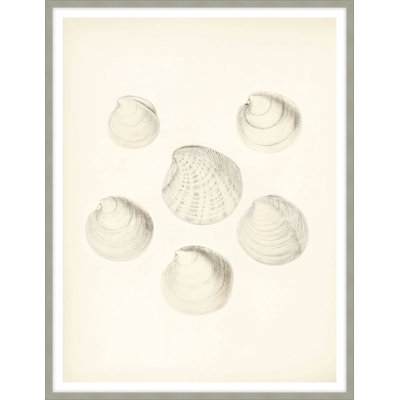 Shore's Treasure 1 Framed Print