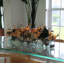 Arrangement floral et centre de table en verre Magnolia-451837030-472820215
