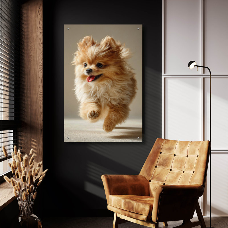  «Cute Fluffy Pomeranian 2» par Ann Klee, art mural en verre acrylique, 24 po x 36 po, H 36 po x l 24 po