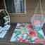 Customer photo 2 of 3