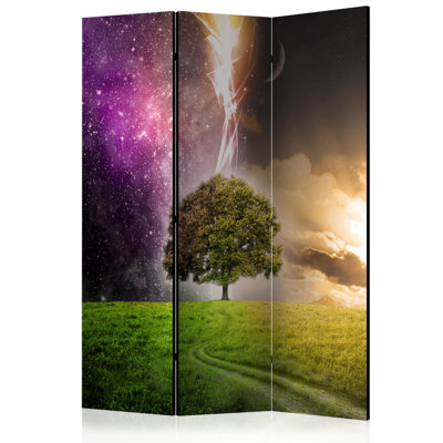 Gradus 135cm W x 172cm H 3 - Panel Solid Wood Folding Room Divider