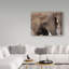 «Elephants 2» de Fillmer, reproduction de photo sur toile tendue-30362772