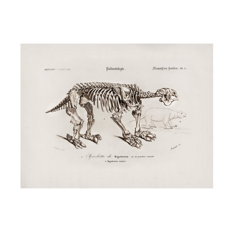 «Charles Dessalines D Megatherium», art sur toile, H 14 po x l 19 po