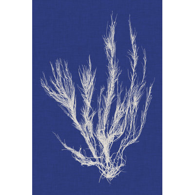 Seaweed Pop VI by Vision Studio - Painting on Canvas