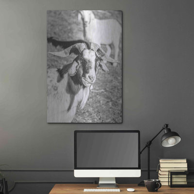" Eating Goat " by Donnie Quillen