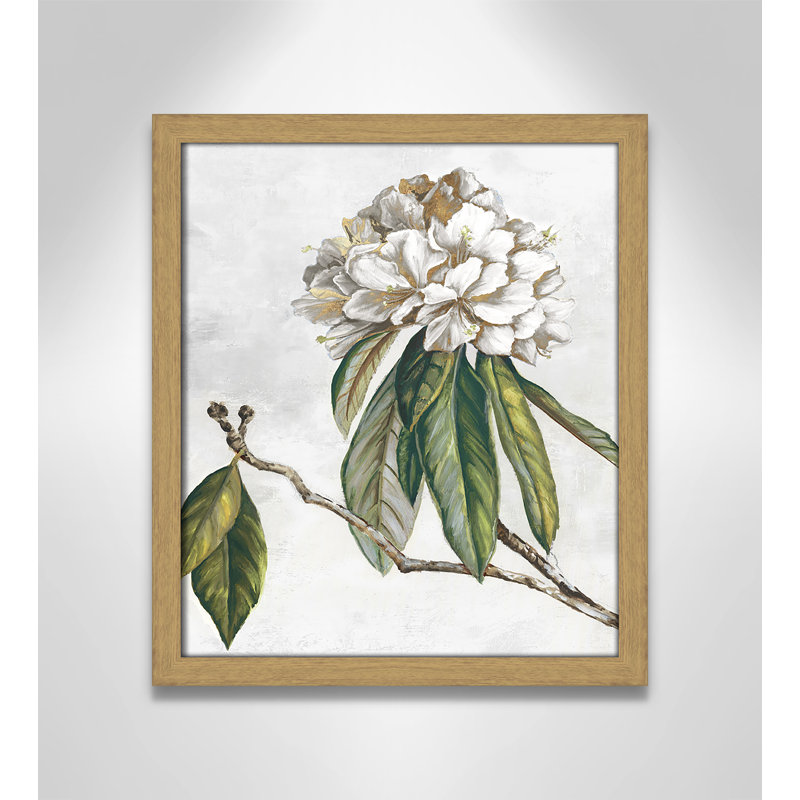 «Pearly Beauty II» par Eva Watts, L 13 po x H 15 po, Impression encadrée, Grain de bois naturel