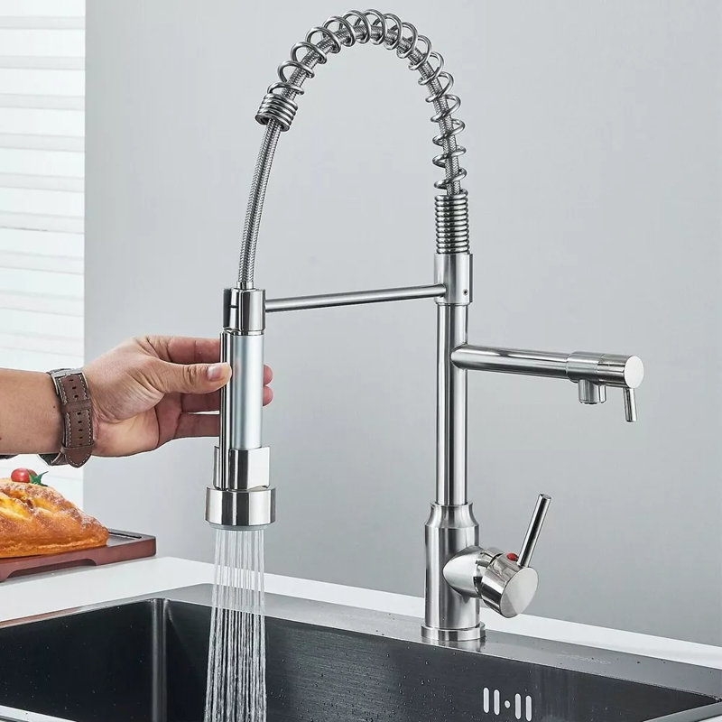 Belfry Kitchen Donnelle Pull Down Kitchen Faucet