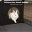 Small Animal Playpen