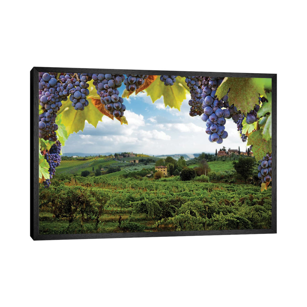 Vineyards In San Gimignano Italy by Susan Schmitz - Print on Canvas