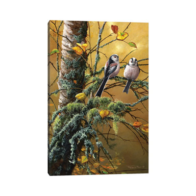 «Long Tailed Tits And Lichens» par Jeremy Paul - Giclée sur toile tendue avec châssis