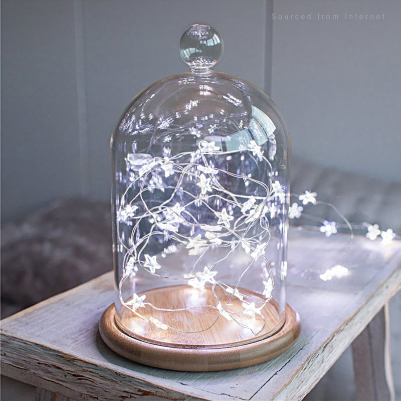 Guirlande lumineuse féerique de 9 ampoules DEL 9,8 po pour l'intérieur et l'extérieur