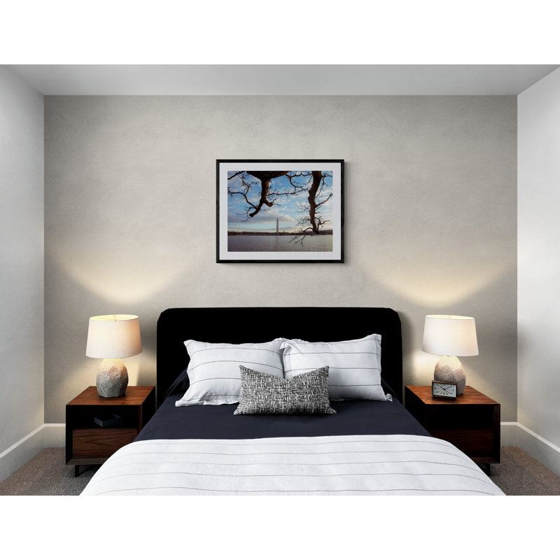 Cork Tree And Washington Monumnet Print by Scott Wurzel, Wrapped Canvas, 24" H x 32" W