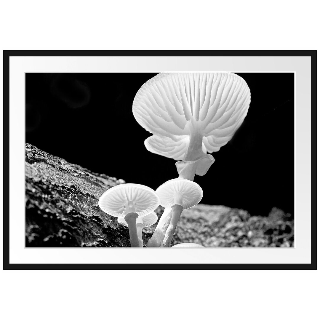 Gerahmtes Poster Dark White Mushrooms