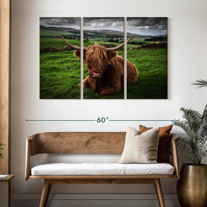 Vache Highland, H 32 po x l 50 po