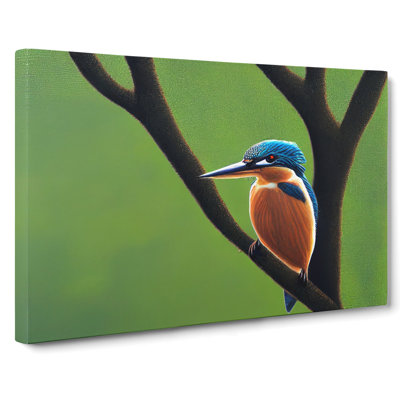 Beguiling Kingfisher Bird - Wrapped Canvas Print