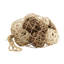 Remplissage de vase Petula-139740662