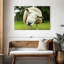 Nosy Sheep-108871776