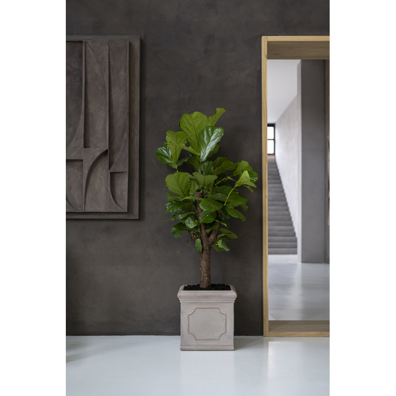 Block Classic M, Taupe