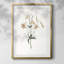 Imprimé floral rétro CL XXVII - impression encadrée-1107992831