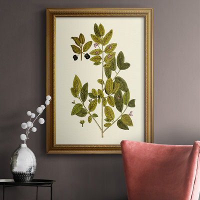 " Olive Greenery VII "