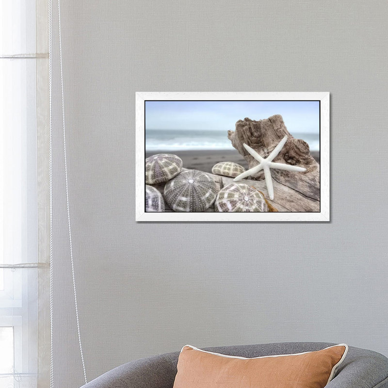 Crescent Beach Shells V 1 Piece Floater Frame Wall Art on Canvas, 101.6 cm H x 66.04 cm W, White Framed