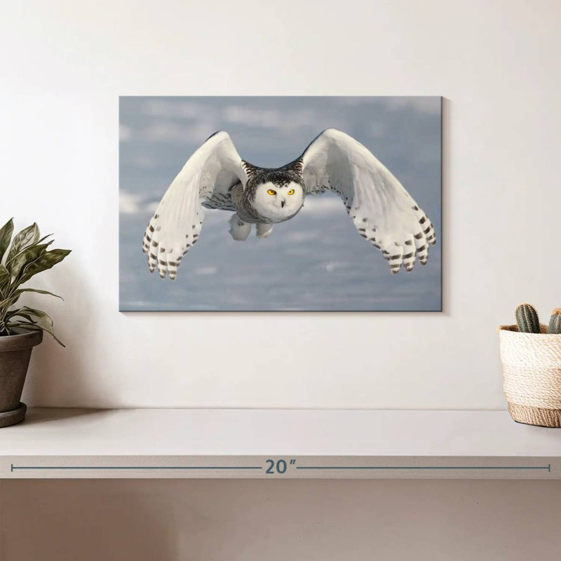 Hibou Brampt en hiver, H 8 po x l 12 po