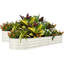 Metal Raised Garden Bed-1097420322-1097420332-1097420333