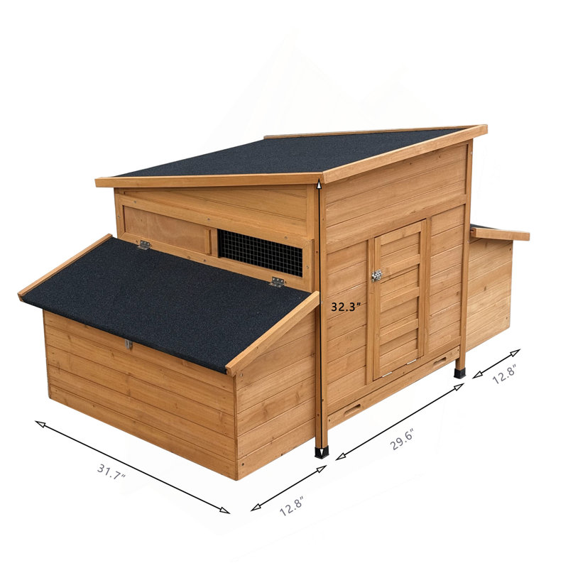 Modern Chicken Coop