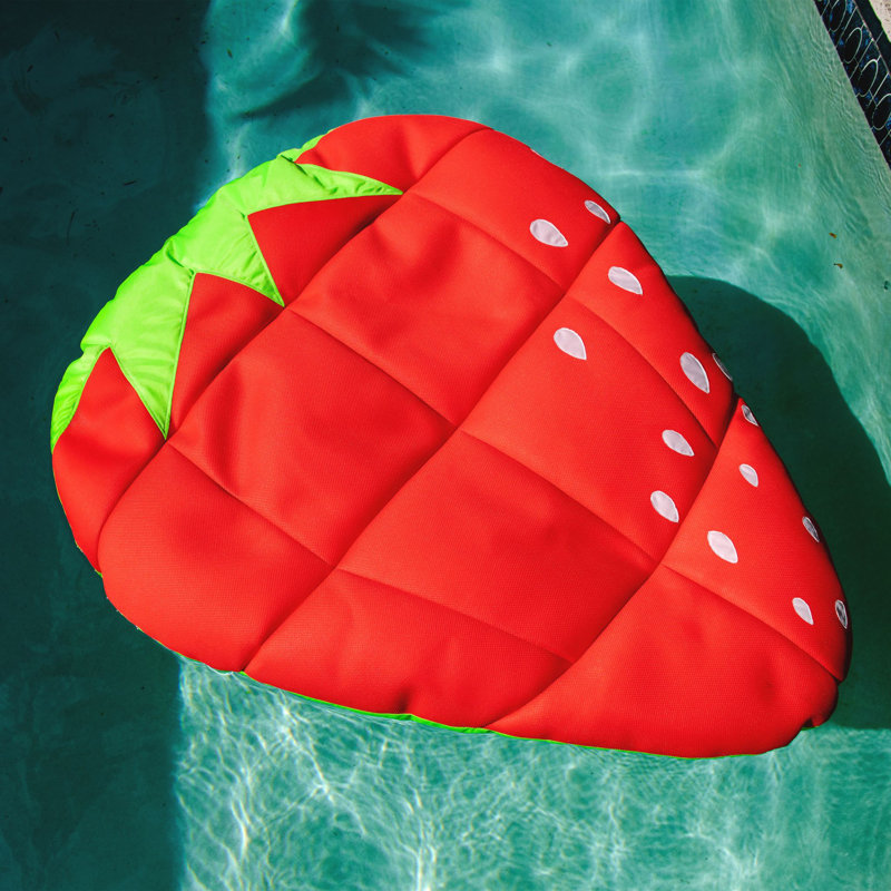 Big Joe Fruit Pool Float and Lounger