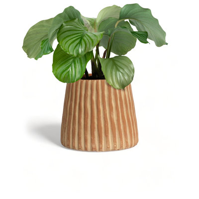 Planter
