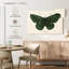 Brampt papillon antique I-107709768