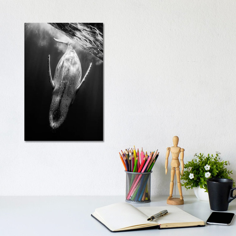 Black & Whale by Barathieu Gabriel - Wrapped Canvas Print, 30.48cm H x 20.32cm W x 1.91cm D