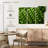 Yarlin Peas-108034048