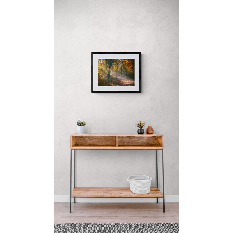 Autumn Path Print by Scott Norris, Black Framed Paper, 16" H x 20" W