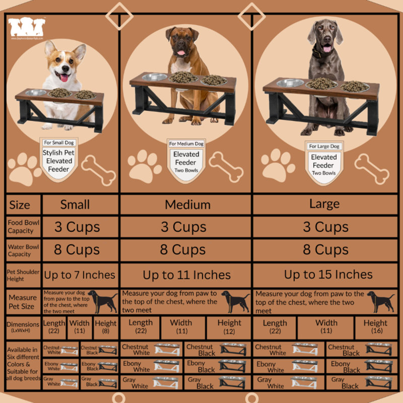 Mangeoire surélevée pour animaux de compagnie 3 bols, 12 po, Noir / gris