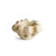Timna Coupe Bowl - Latte-1438041070