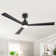 52" 3 - Blade Ceiling Fan With LED Lights And Remote Control