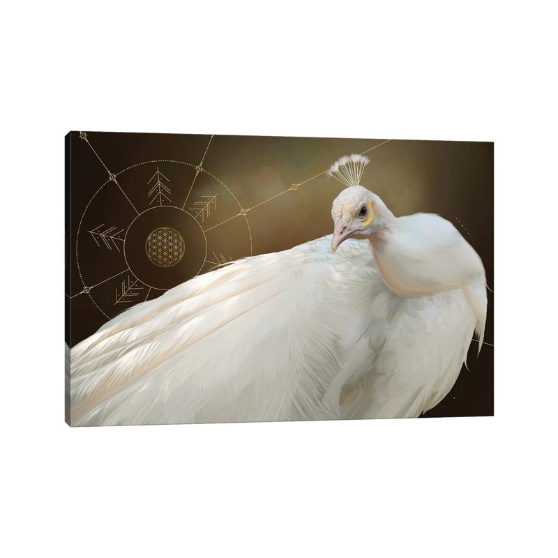 White Peacock by Nettsch - Wrapped Canvas Gallery-Wrapped Canvas Giclée, 20.32 cm H x 30.48 cm W