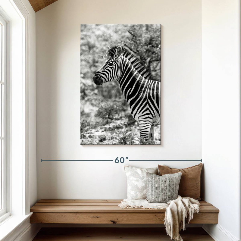 BW Portrait of Burchell's Zebra II, H 45 po x l 30 po
