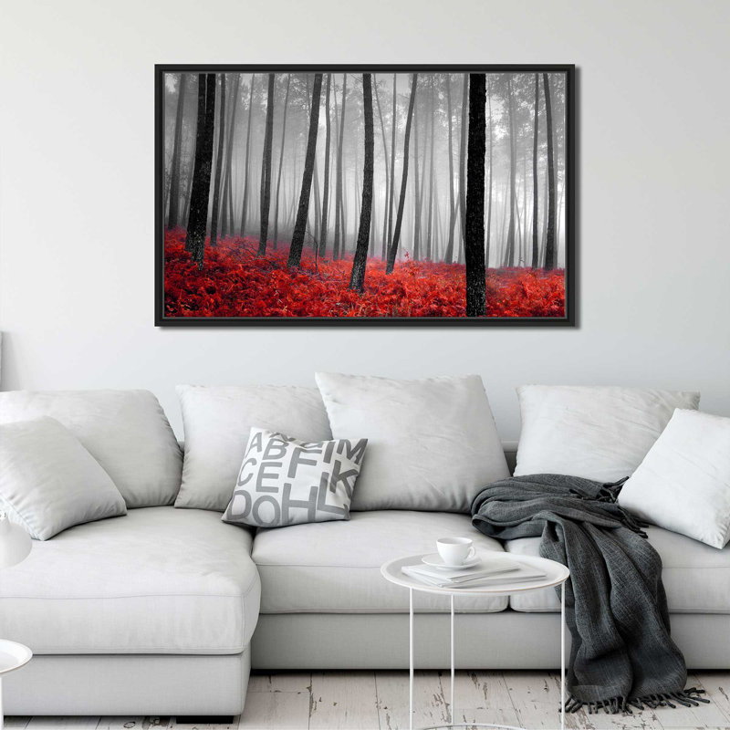 Autumn Woods II par - photographie, Cadre flottant noir, H 31,5 po x l 51,5 po x P 2 po