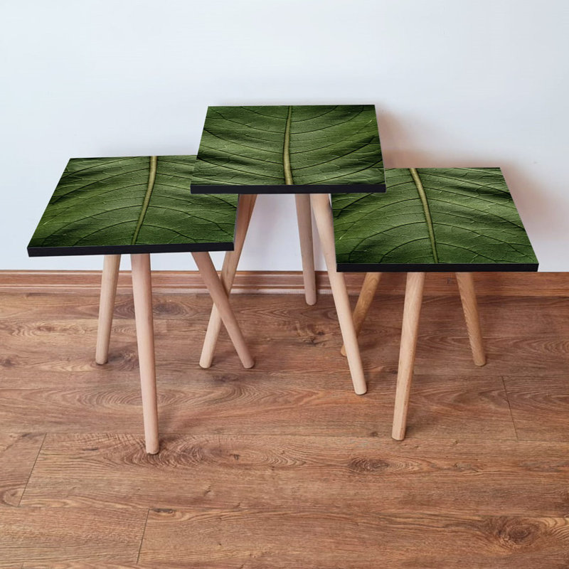 Ensemble de 3 tables gigognes Modern, panneau de fibres à densité moyenne vert avec pieds en bois de hêtre, grande table: 13,8 po x 20,5 po x 13,8 po | Table moyenne: 13,8 po x 18,5 po x 13,8 po | Petite table: 13,8 po x 16,5 po x 13,8 po | Élégant et polyvalent pour la décoration intérieure