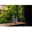 Five-Sided Evergreen-130427531