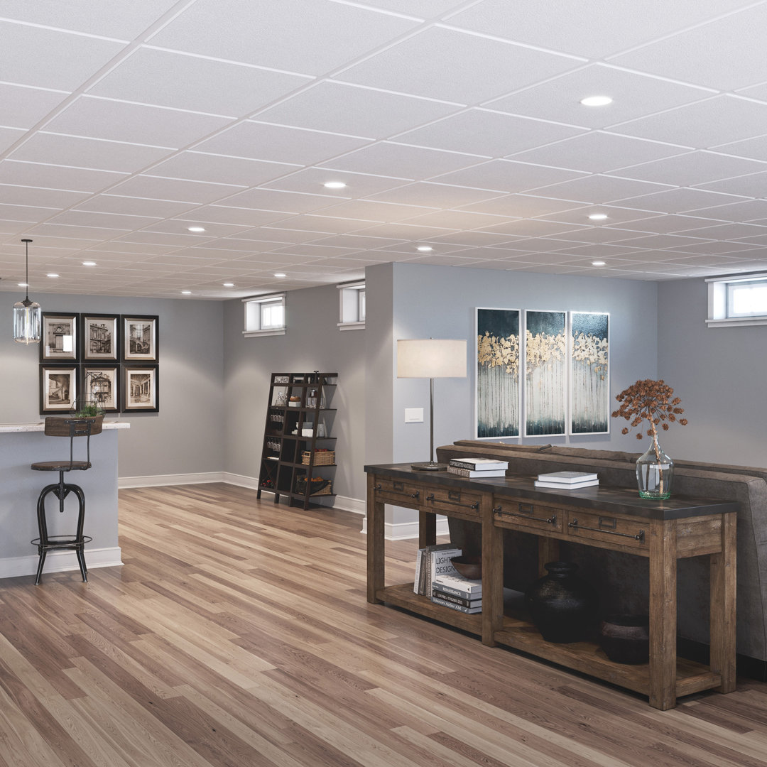 23.74” L X 23.76” W Drop-In PVC Ceiling Tile (Set of 12) Genesis 