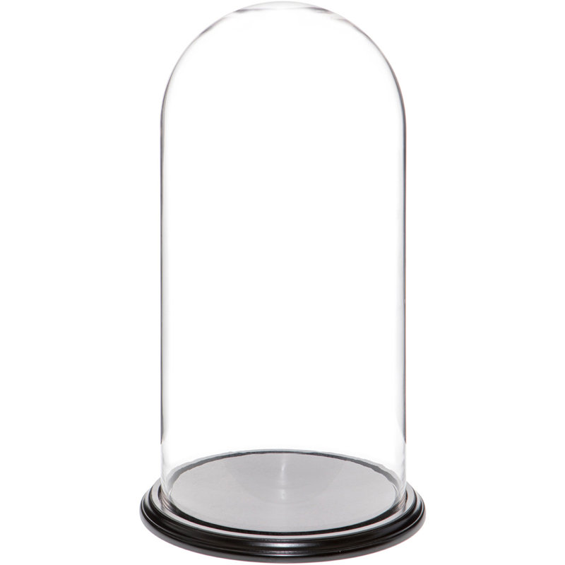 Cloche en verre Vucciria, Base en placage de bois noir, H 20 po x l 9,75 po x P 9,75 po