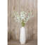 Anastasija Arrangement-1374141305