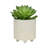 S/2 6/8" Textured Planters-1146462382