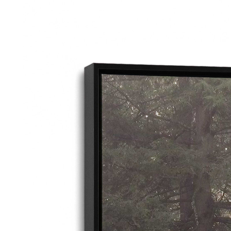 «Enlighten Your Soul» par Lori Deiter, reproduction d'art, 12 W x 18 H, Black, Framed Canvas