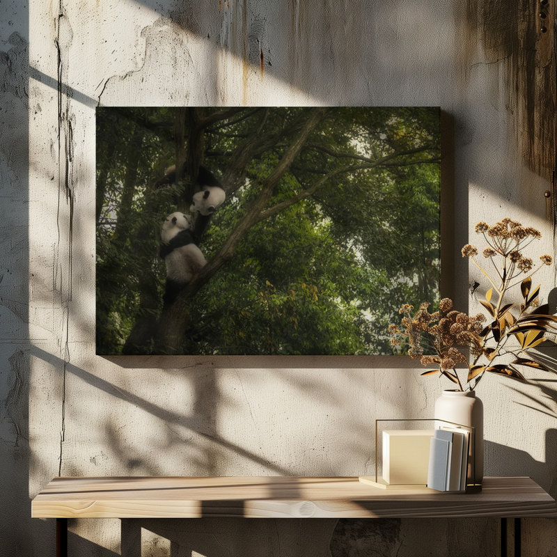 Wrapped Canvas Print